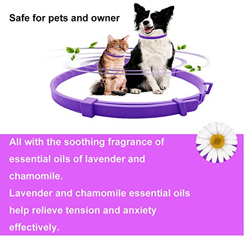 Collar calmante para perros y gatos, collar anti ansiedad con tamaño ajustable, seguro natural, resistente al agua, efecto calmante de larga duración, alivio de ansiedad de gato y perro(Pequeño)