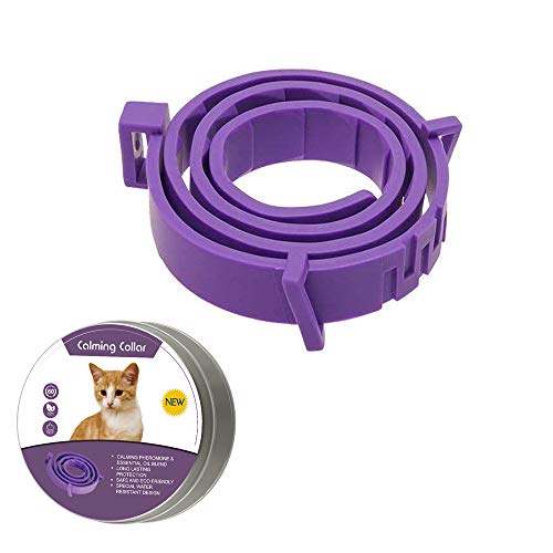 Collar calmante para perros y gatos, collar anti ansiedad con tamaño ajustable, seguro natural, resistente al agua, efecto calmante de larga duración, alivio de ansiedad de gato y perro(Pequeño)