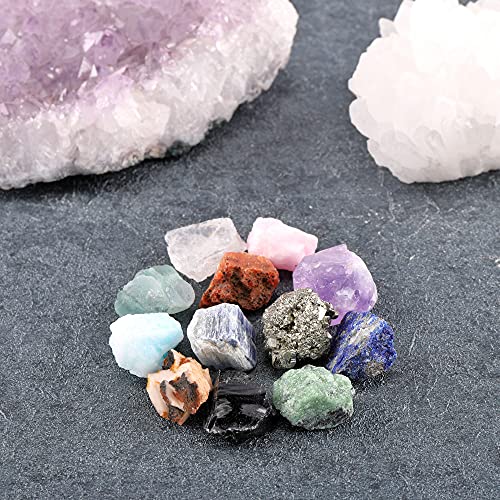 CrystalTears 12 piedras preciosas, piedras naturales variadas, estuche de piedras y cristales Reiki de Chakra irregular, colección pequeña