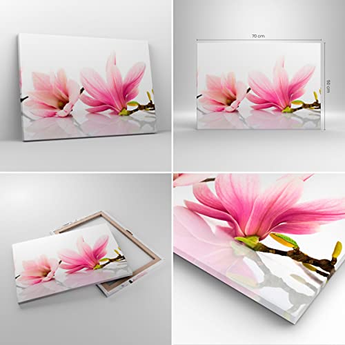 Cuadro sobre lienzo - Impresión de Imagen - Magnolia flor naturaleza planta - 70x50cm - Imagen Impresión - Cuadros Decoracion - Impresión en lienzo - Cuadros Modernos - AA70x50-2641