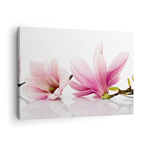 Cuadro sobre lienzo - Impresión de Imagen - Magnolia flor naturaleza planta - 70x50cm - Imagen Impresión - Cuadros Decoracion - Impresión en lienzo - Cuadros Modernos - AA70x50-2641