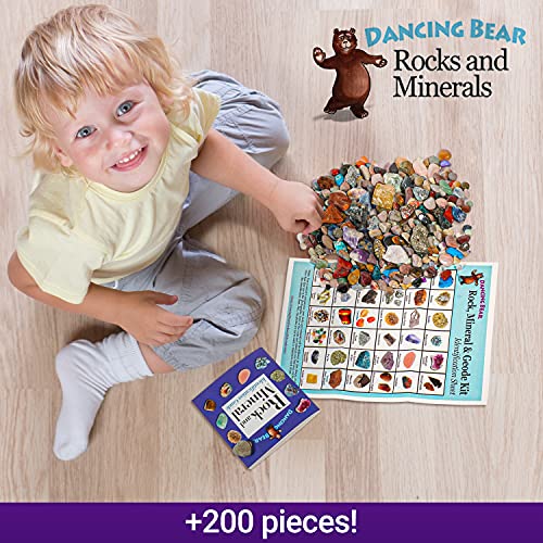 Dancing Bear's Rocks and Minerals Rock & Mineral Kit de Recogida con el Kit Actividad 2 de ruptura fácil geodas