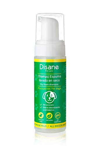 DISANE Champu Perro SECO | Sin Necesidad de Agua ni Aclarado | Elimina los Malos Olores de tu Perro | Producto Natural | 200 ML | Formato Espuma