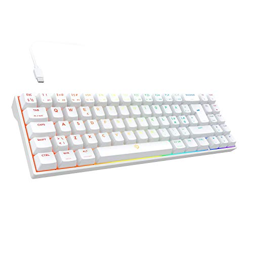 DREVO Calibur V2 TE RGB 60% Teclado mecánico para juegos, 72 teclas pequeño compacto, trabajo para PC/Mac [Interruptor rojo de Outemu -Diseño nórdico-Blanco]