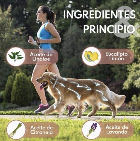 Fallcon Collar Antiparasitos Perros Natural contra Pulgas,Garrapatas y Mosquitos,Tamaño Ajustable e Impermeable para Mascota Pequeño Mediano Grandes