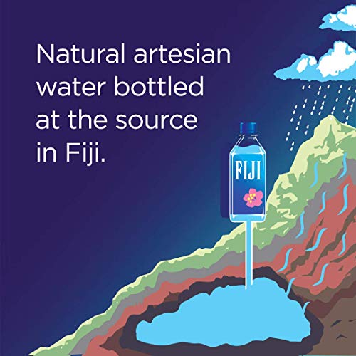 FIJI Natural Artesian Water, 33-Ounce Bottles (Pack of 12)