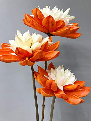 Flores Secas Naturales, Loto de Nieve, 6 Piezas, Longitud 60 CM-Naranja, para Boda Fiesta Hogar Mesa Macetero Terraza Balcon Cocina Dormitorio Iglesia