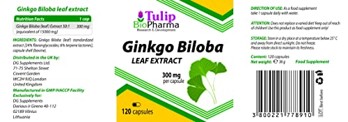 Ginkgo Biloba 15000mg equivalente (300mg de extracto 50:1) 120 cápsulas, LABORATORIAMENTE PROBADO por AGROLAB ALEMANIA, alta potencia, sin gluten ni OGM, sin rellenos