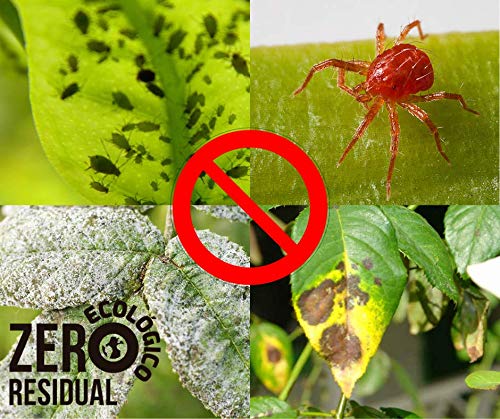 GreenFaculty - Ortiga - Insecticida Fungicida Ecológico. Plantas de Interior, Exterior, Jardín y Huerto. Antiplagas Pulgones, Araña Roja y Hongos. Estimula el Crecimiento. Purín de Ortiga Líquido1L