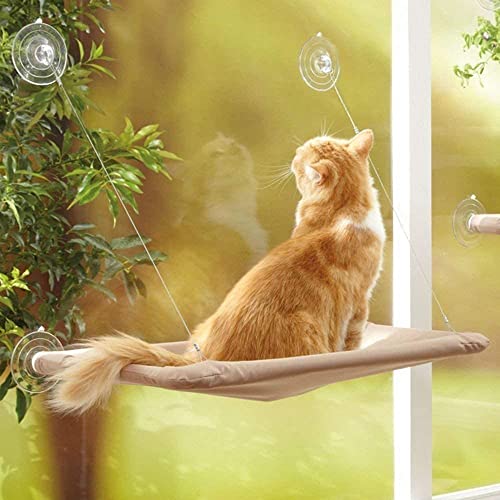 Hamaca con Percha de la Ventana del Gato Cama Cat con Ventosas de Versión 4 Mejoradas, la Cama para gatos más Segura para Gatos Grandes Admite Hasta 50 lb