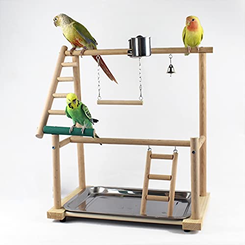 Juguetes para Pájaro PAYERSTERSTERSES DE Papeles DE LORTE con Toys TAYS BANDEJO Pantalla Swing Stright CLASIFICACIÓN CALGADOR Puente Puente de Madera Cockatiel Playground Pájaros Pájaros 40 * 23 * 36