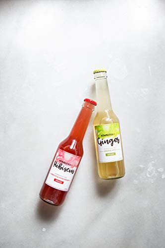 KOMBUTXA TE KOMBUCHA BEBIDA ECOLOGICA - 12x275ml te fermentado bio organic tea bebida energetica sin azucar añadido (Pack mix 9ud + 3ud Natural (gratis))