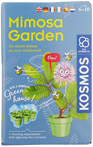 KOSMOS- Mimosa Garden-Mimosen Garten, Pflanzen züchten und erforschen Juego de experimentos para niños con Instrucciones multilingües (DE, EN, FR, IT, ES, NL), Multicolor (616809)