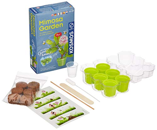 KOSMOS- Mimosa Garden-Mimosen Garten, Pflanzen züchten und erforschen Juego de experimentos para niños con Instrucciones multilingües (DE, EN, FR, IT, ES, NL), Multicolor (616809)