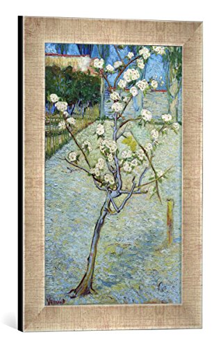 Kunst für Alle ' – Fotografía enmarcada de Vincent Van Gogh Peral en Flor, de impresión handgefertigten imágenes de Marco, 30 x 40 cm, Plata Raya