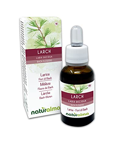 Larch o Alerce (Larix decidua) Flores de Bach Naturalma | No. 19 | Gotas 30 ml | Extracto líquido sin alcohol | Esencias florales | Vegano y libre de alcohol