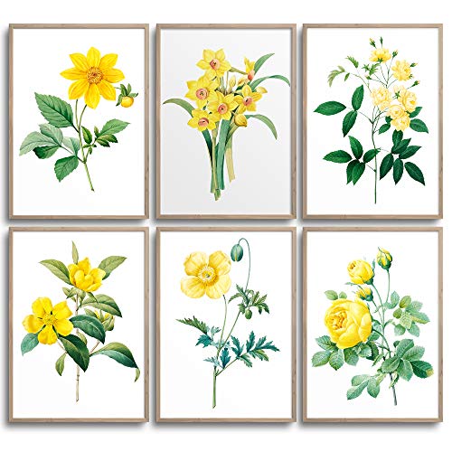 MONOKO® Juego de pósteres para el salón, juego de imágenes para el dormitorio, con estilo, 6 unidades, sin marco (flores, amarillo, narciso, 6 x A4 (21 x 29,7 cm)