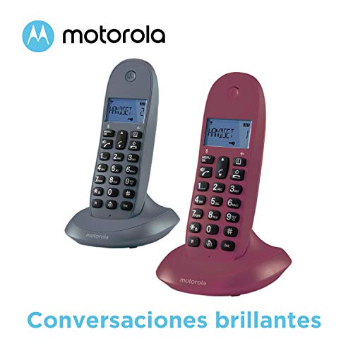 MOTOROLA Telefono fijo inalambrico digital DECT C1002GW Pack Duo - Color Gris y violeta - 2 unidades