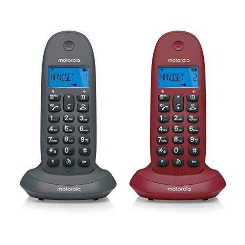 MOTOROLA Telefono fijo inalambrico digital DECT C1002GW Pack Duo - Color Gris y violeta - 2 unidades