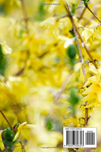 My Wildflowers of Wisconsin: A Beautiful and Colorful Herbarium Notebook for Drying and Cataloguing Locally Collected Flowers, Plants and other ... | A calming Adventure into Your Local Flora