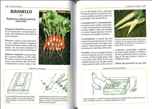 Orto e frutteto biologico. Il grande libro (Linea bio)