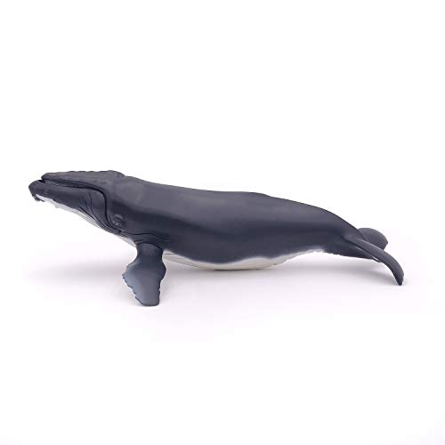 Papo (2056011 Ballena jorobada, Figura de Animal Marino Pintada a Mano, Multicolor