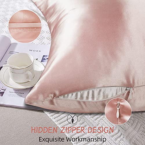 pendali Funda de Almohada de Satén para Cabello y Piel, Funda Almohada con Cremallera Oculta, Antiarrugas, Resistente a la Decoloración, 1 Pieza Microfibra Suave Fundas Almohadas 48 x 66 cm (Rosa)