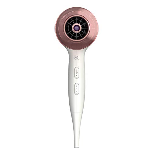 Philips  HP8281/00 - Secador de Pelo (2300 W, 2 Accesorios)