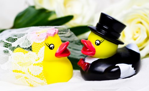 ﻿﻿Purovi Figuras Novios para Tarta - Pareja de Patos de Goma Vestidos de Novia y Novio - Regalos Originales y Decoracion para Aniversario de Bodas