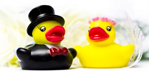 ﻿﻿Purovi Figuras Novios para Tarta - Pareja de Patos de Goma Vestidos de Novia y Novio - Regalos Originales y Decoracion para Aniversario de Bodas