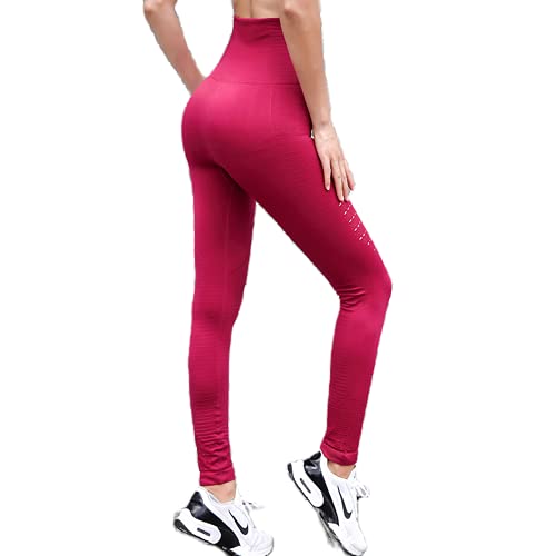 QTJY Stretch Ladies Gym Yoga Pantalones sin Costuras Pantalones Deportivos de Cintura Alta Yoga Fitness Medias Correr Pantalones elásticos Altos FL