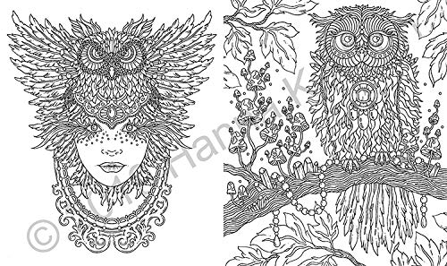 Spirit Animals Coloring Book