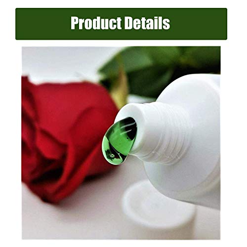 SSSM Green Tea Facecover removes Acne blackheads and Nose Deep Cleansing，Green Tea Face Peeling Facecover，Peel Off Facecover ， Tear-Off Facecover Pure Plant Green Tea Extract