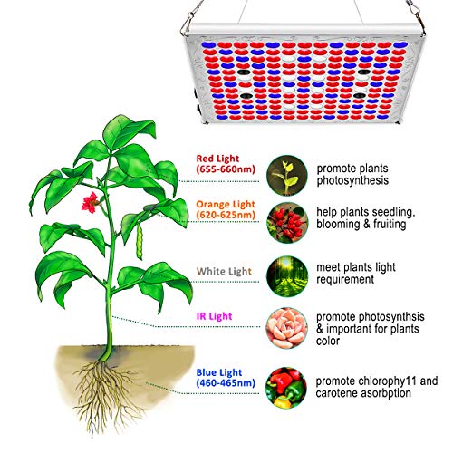 TOPLANET Plantas Led Grow Light Reflector 75w Lampara con IR Rojo Azul Luz para Interior/Invernadero/Grow Box Vegetal Crecimiento