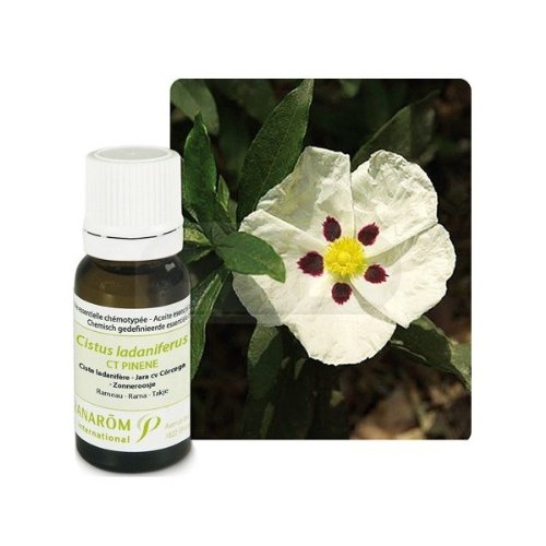 ACEITE ESENCIAL JARA DE CORCEGA 5ML PRANAROM