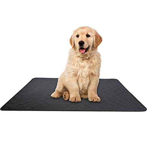 Almohadilla de Entrenamiento para Perros y Gatos - Pañales de Perro Impermeable Alfombra Lavable y Reutilizables para Mascotas Absorción Orina (50×70cm)