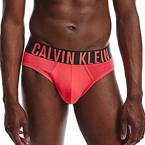 Calvin Klein Hip Brief 2pk Ropa Interior, Strawberry Shake/Blue Shadow, M para Hombre