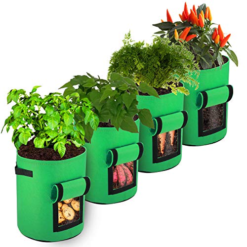 FYTENG Bolsas para Plantar Papas, 4pcs 10 Galones Bolsa No Tejida，Macetero Bolsa Planta Es Adecuado para Papas, Tomates, Zanahorias, Bolsas para Plantar Batatas (Verde Hierba)