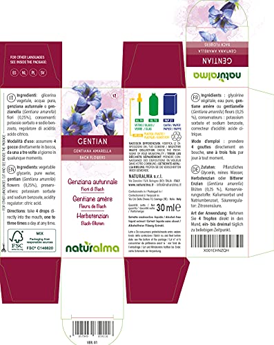 Gentian o Genciana amarella (Gentiana amarella) Flores de Bach Naturalma | No. 12 | Gotas 30 ml | Extracto líquido sin alcohol | Esencias florales | Vegano y libre de alcohol