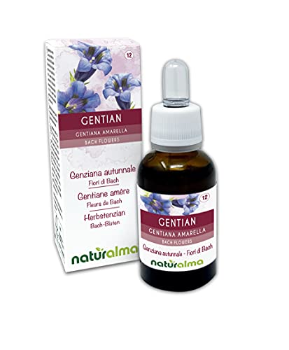 Gentian o Genciana amarella (Gentiana amarella) Flores de Bach Naturalma | No. 12 | Gotas 30 ml | Extracto líquido sin alcohol | Esencias florales | Vegano y libre de alcohol