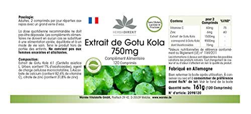 Gotu Kola 750mg – Extracto altamente dosificado – Con zinc y vitamina C – Vegano – 120 comprimidos