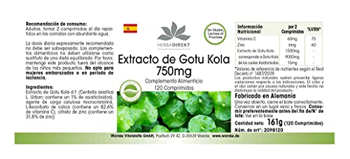 Gotu Kola 750mg – Extracto altamente dosificado – Con zinc y vitamina C – Vegano – 120 comprimidos