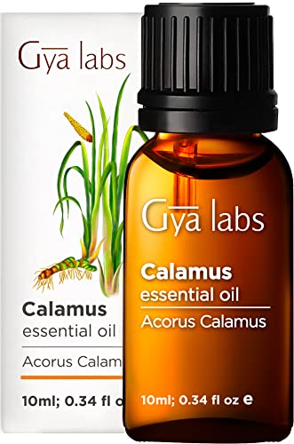 Gya Labs Calamus Essential Oil for Focus - Aceite de cálamo natural para aliviar el estrés y la meditación - 100 grado terapéutico puro para aromaterapia - 10 ml