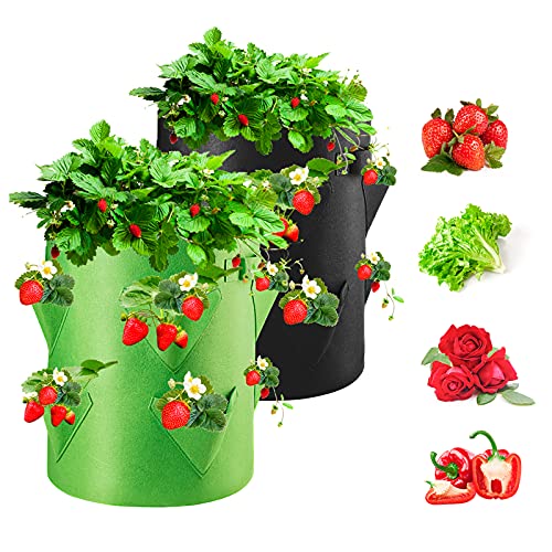 Homealexa Bolsas de Cultivo de Fresa 2Pcs, Bolsa de Cultivo de Plantas, Tela no Tejida Bolsa para Plantar para Fresa Papa, Zanahoria, Tomate y Cebolla (10 Galones)