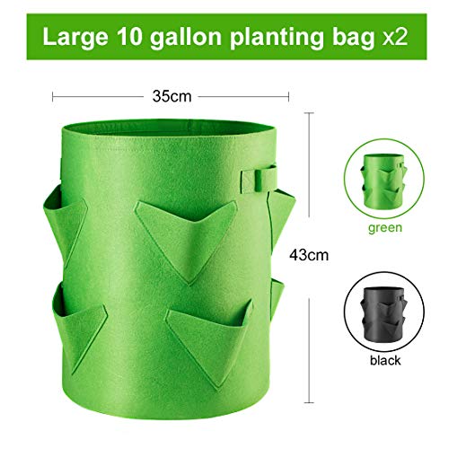 Homealexa Bolsas de Cultivo de Fresa 2Pcs, Bolsa de Cultivo de Plantas, Tela no Tejida Bolsa para Plantar para Fresa Papa, Zanahoria, Tomate y Cebolla (10 Galones)