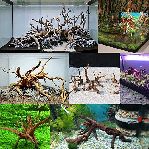 Lopbinte Madera deriva para acuario, ramas de madera natural, decoración de pecera, reptiles, tronco de árbol de madera deriva surtida (10 unidades)