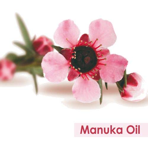 Manuka Oil (Leptospermum scoparium) 100% Natural Pure Undiluted Uncut Essential Oil 30ml