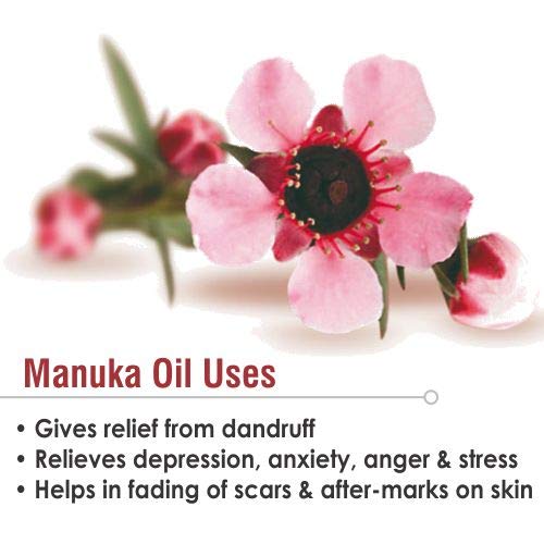 Manuka Oil (Leptospermum scoparium) 100% Natural Pure Undiluted Uncut Essential Oil 30ml