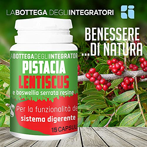 Masilla de Chios y Boswellia 15 cápsulas | 1 al día | Pistacia Lentiscus vientre y estómago