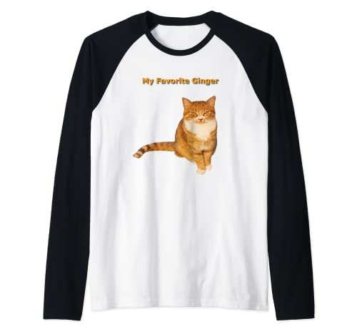 Mi favorito Ginger Orange Tabby Cat Lover Camiseta Manga Raglan